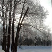 Снег выпал только в январе *** Snow fell only in January :: Александр Борисов