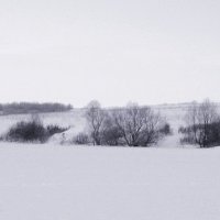 Зимний серый  день. :: Валерия  Полещикова 