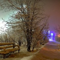 В зимнем парке... :: Витас Бенета