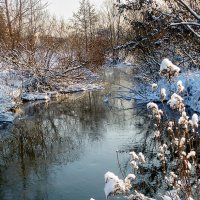 Подмосковная речушка :: Galina 