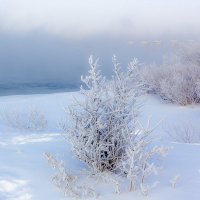 Туман над рекой :: Анатолий Иргл