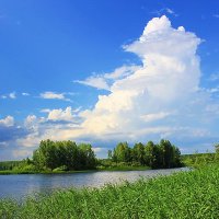 Лето :: Александр Щеклеин