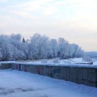 Подморозило.. :: Наталья Тимофеева