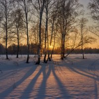 вечер :: Николай Мальцев