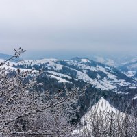 Украина,Закарпатье,Карпаты,горы,зима :: Сергей Форос