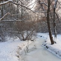 Серебрянка зимой :: Длинный Кот