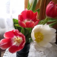 Букет тюльпанов :: Елена Семигина