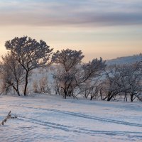 Январь :: Евгения Каравашкина