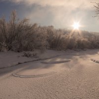 ***** :: Дамир Белоколенко