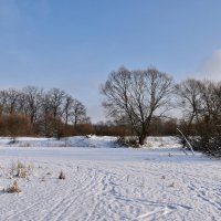 Солнечный  день. :: Валера39 Василевский.