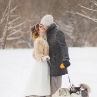 С хасками зимняя свадьба - это красиво :: Анастасия Кочеткова 
