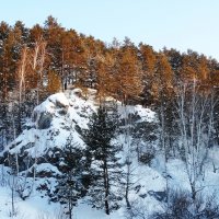 Родные просторы :: Александр Подгорный