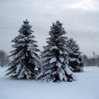 Зима :: laana laadas