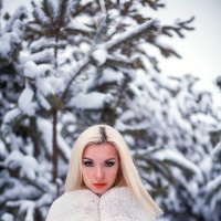 зима :: Елена Титова