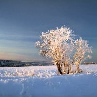 Зимний день :: Валерий Талашов 