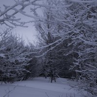 Взгляд в... :: Денис Гладких