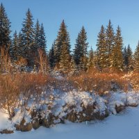 Фотографии природы :: Анатолий Иргл