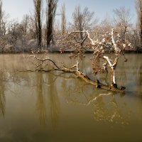 Солнечный денек :: Александр Плеханов