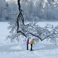 Сами расчистили, сами и катаются :: Вера Щукина