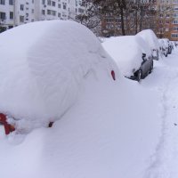 А у нас во дворе :: Александр Скамо