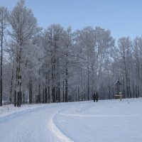 Приход зимы - природы очищенье... :: ТАТЬЯНА (tatik)