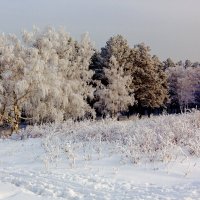 Зимний пейзаж :: Анатолий Иргл
