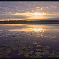 Утро на озере. :: Vadim WadimS67