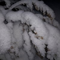 Трава под снегом :: Глен Ленкин