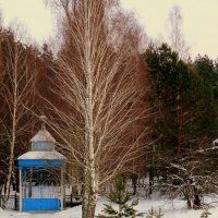 в поселке Терюха :: Александр Прокудин