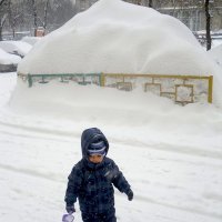 Эх, лопатка маловата... :: Елена 