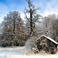 Зима на Смоленщине 2016 :: Милешкин Владимир Алексеевич 