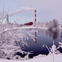 -20, а он не замерзает... :: Елена Третьякова