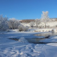 *** :: Наталья Юрова