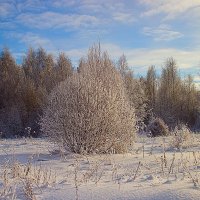 Зима :: Бронислав Богачевский