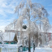 Зима. :: Надежда Акушко 