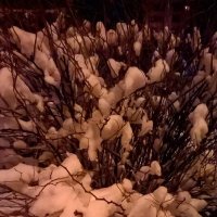 Снежность 2 :: Сергей Трусов