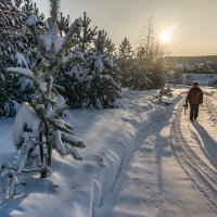 У деревни Гилево... :: Pavel Kravchenko