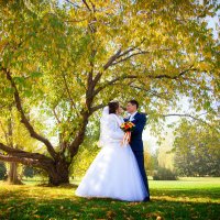 Осенняя свадьба :: Арина Берестяк