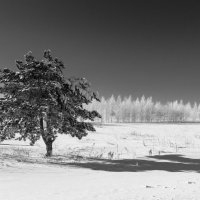 ВСТРЕЧА :: ОЛЕГ КАРАУЛОВСКИЙ