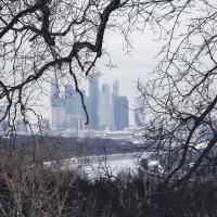 Moscow city :: Владимир Гулевич