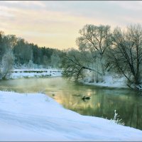 На Пехорке :: Olenka 