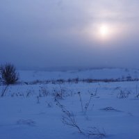 Экскурсия в Гадюкино зимой (4) :: Александр Резуненко