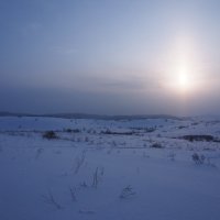 Экскурсия в Гадюкино зимой (6) :: Александр Резуненко