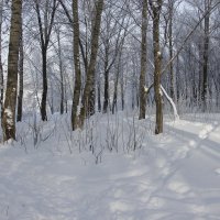 зимний пейзаж :: юлия 