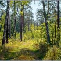 Выход в осень. :: Роланд Дубровский