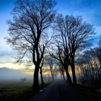 По дороге в неизвестность... :: Денис Штейн