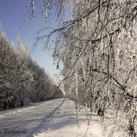 Счастье есть))) :: Екатерина Селедцова