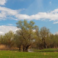 Дельта :: Алексей Салло