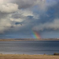 Весенняя радуга :: Наталья Юрова