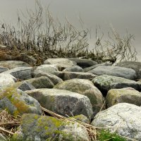 прибрежные камни на Сааремаа :: Любовь Изоткина